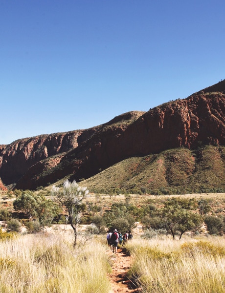 Larapinta Trail, Northern Territory