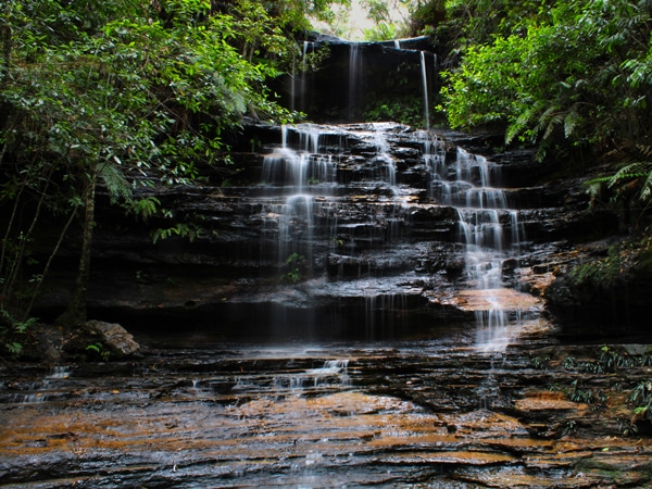 South Lawson Waterfall Track, Lawson, NSW