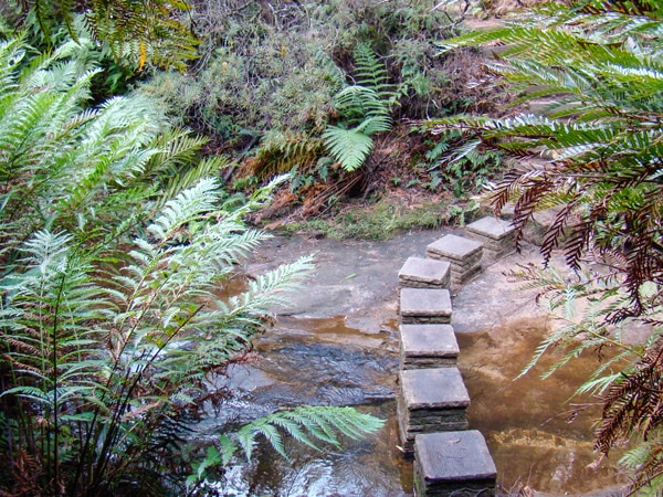 Nature Track, Wentworth Falls, NSW