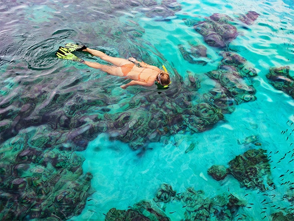 Snorkelling Byron Bay