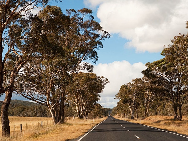 discover the ultimate inland road trip