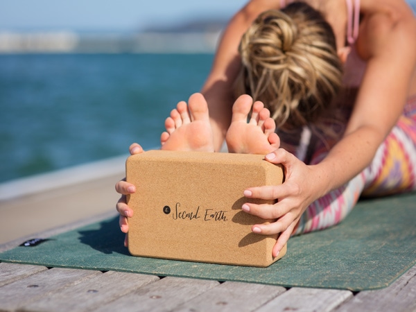 Second Earth yoga mat and cork block