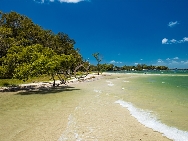 Bribie Island Brisbane