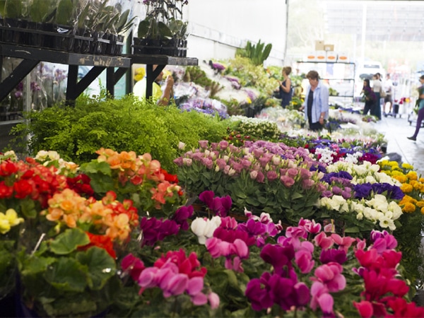 Sydney flower market