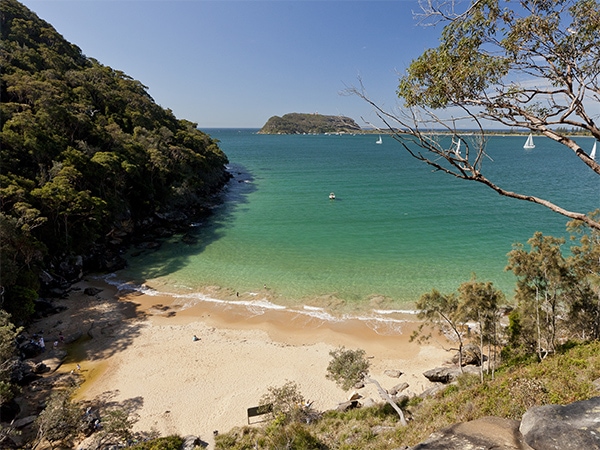 Resolute Beach Sydney