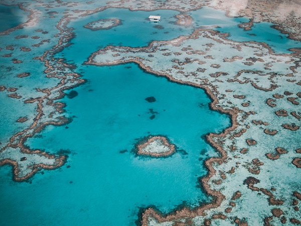 Heart Island