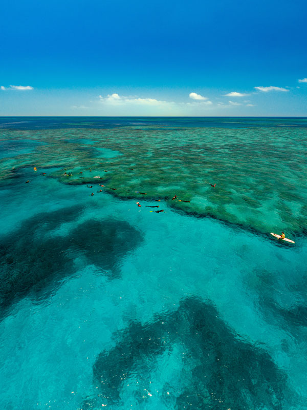 Bait Reef Snorkel & Dive Tour