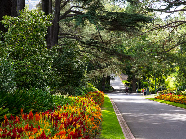 the Fitzroy Gardens in East Melbourne