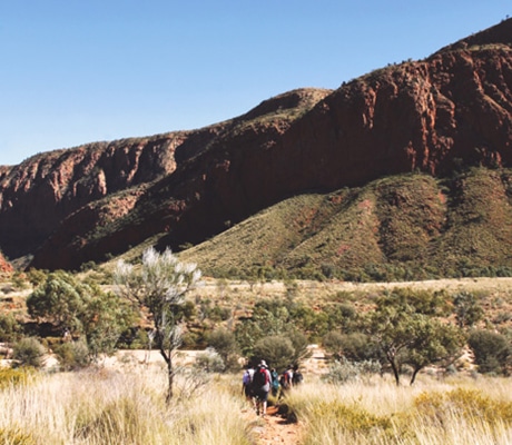 Larapinta Trail