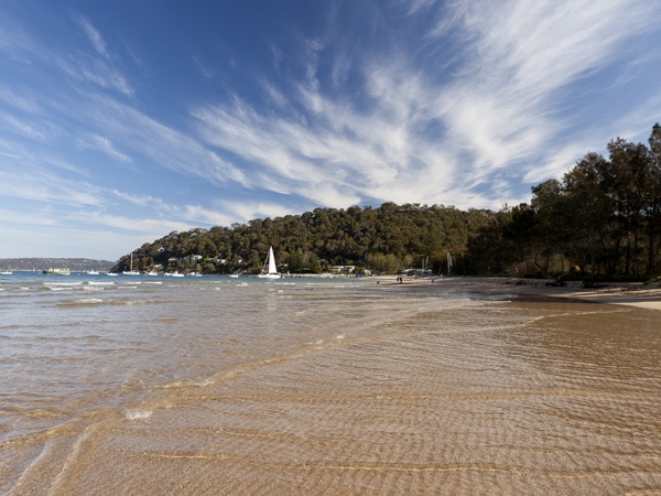 a scenic view of Mackerel Beach in Ku-Ring-Gai National Park, Pittwater