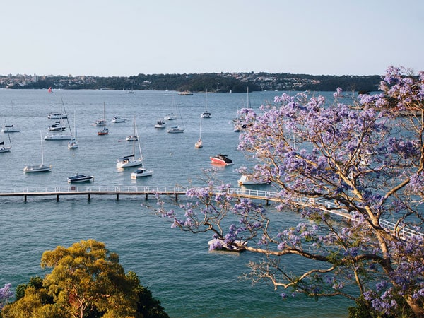 Sydney harbour views from Murray Rose Pool, Double Bay in Sydney's eastern suburbs