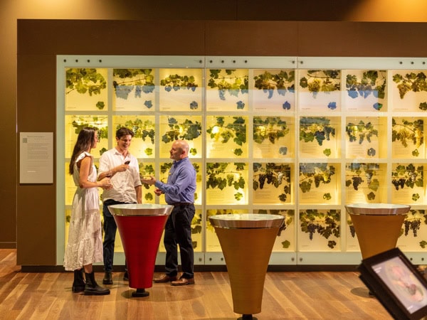 visitors touring around the National Wine Centre