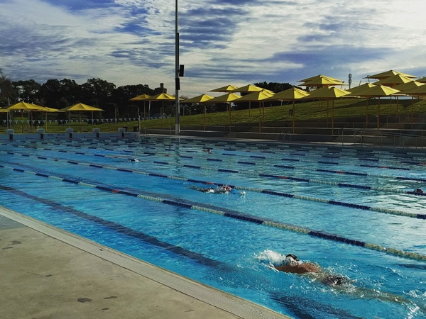 a person swimming in a 50-metre lap pool at Prince Alfred, Surry Hills