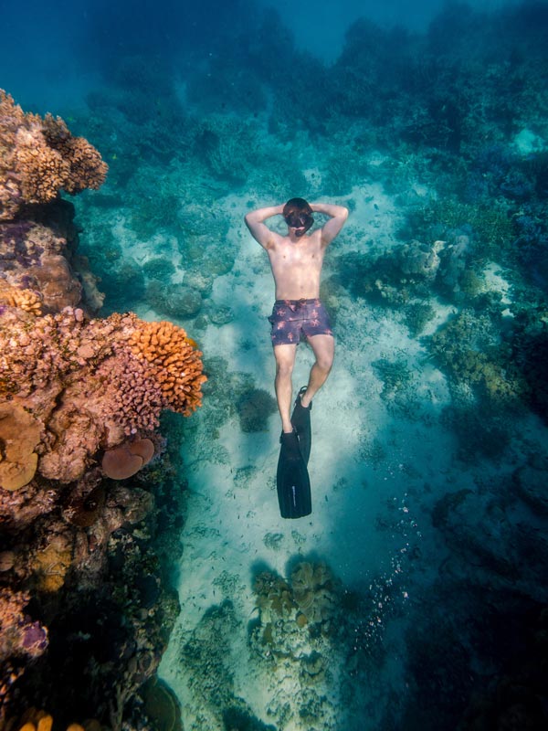 Bait Reef Snorkelling