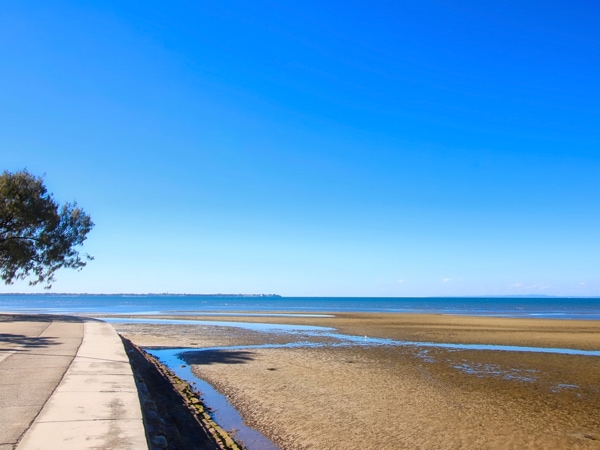 Sandgate beach.