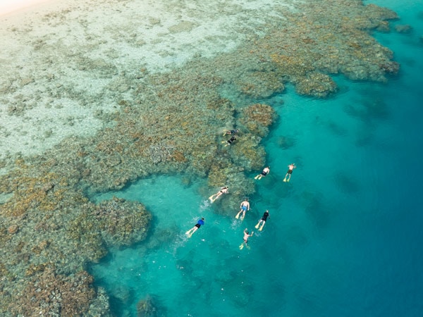 Snorkel with Explore Great Barrier Reef