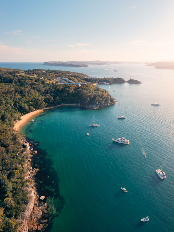 an aerial view of Store Beach, Manly