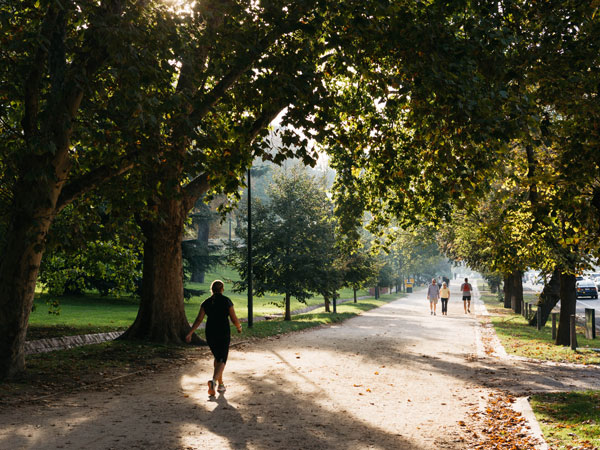 running around The Tan, Royal Botanic Gardens