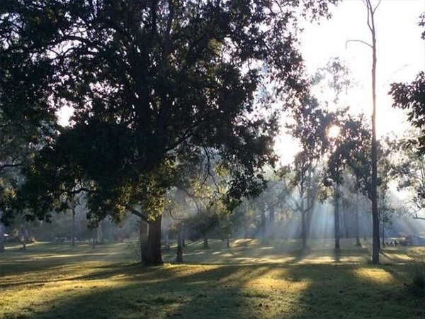 taman bigriggen