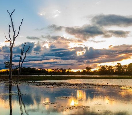 Sunset over NT river