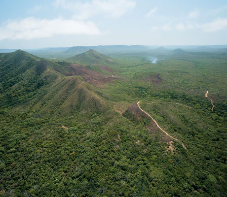 Cooktown nature