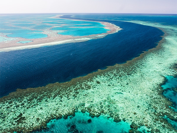 Ribbon Reef GBR