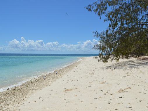 The most incredible campsites near the Great Barrier Reef