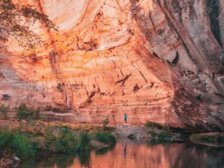 Discover Carnarvon Gorge