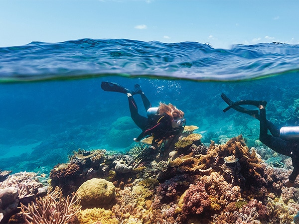 Hayman Island snorkelling