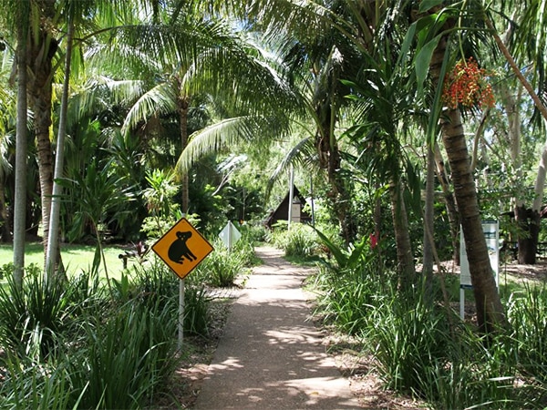 Magnetic Island