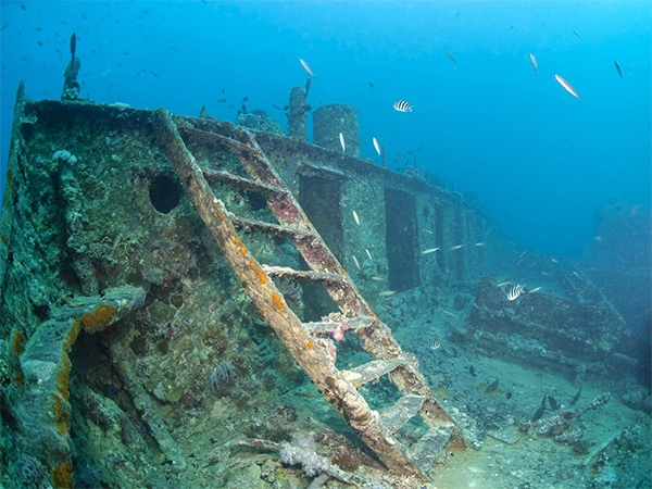 Yongala Reef