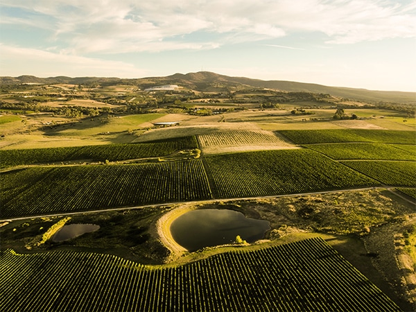 Sample the dynamic food and wine scene in Orange
