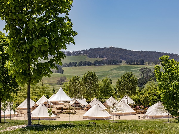 Journey through the Greater Blue Mountains (Mayfield Garden, Oberon)