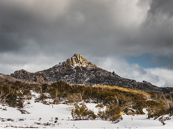 Tour the towns of the Great Alpine Road (Photo Mount Buffalo National Park)