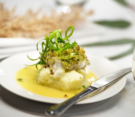 murray river cod