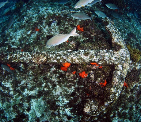 batavia shipwreck