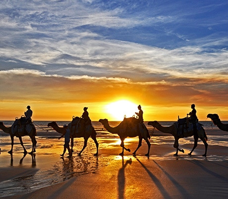 Camel ride Broome
