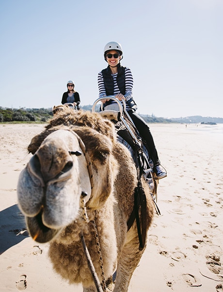camel safari adventure