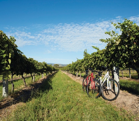 granite belt wines
