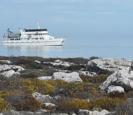 eco abrolhos catamaran