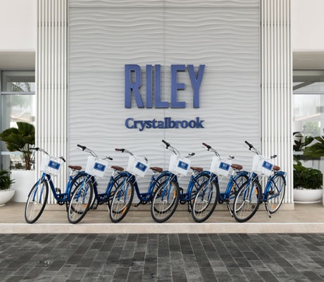 riley eco transport crystalbrook collection