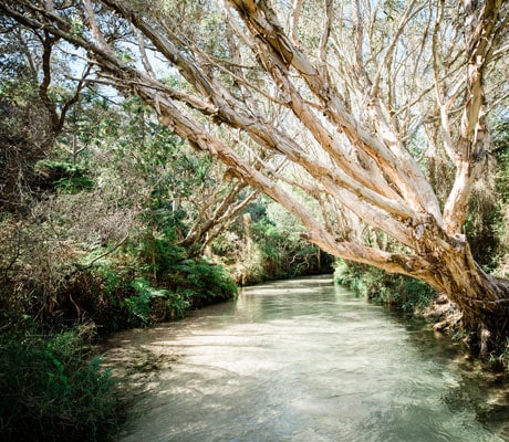 eli creek fraser island qld