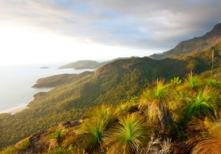 Hitchenbrook Islan QLD