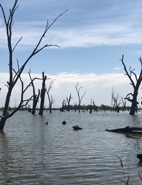 lake mulwala murray river
