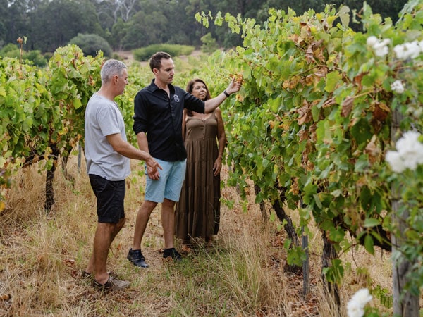 guests exploring the Myattsfield Vineyards