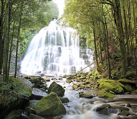 Nelson Falls