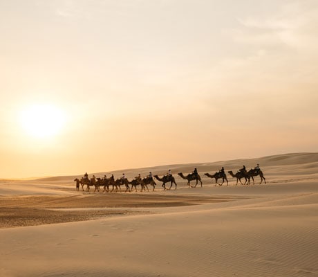 stockton bight sand dunes port stephens