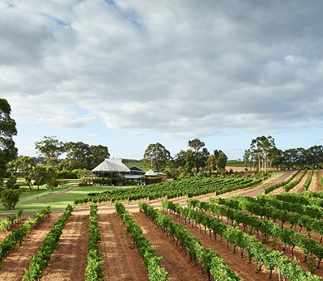 Vasse Felix
