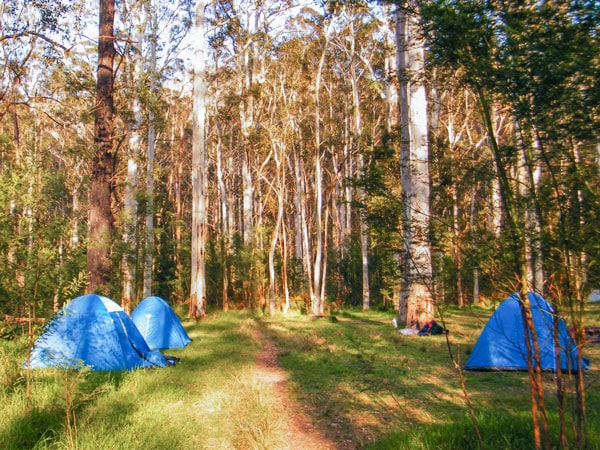 tents set up on Acacia Flat Campground