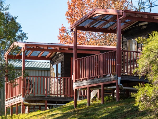 cabins at Blackheath Tourist Park